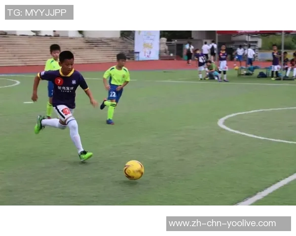 足球小将的梦想之旅少年们如何在绿茵场上追逐胜利与友情的故事