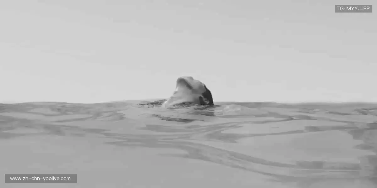 🚀 点击即达，开启你的体育梦想之旅！✨